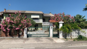 Palma Verde